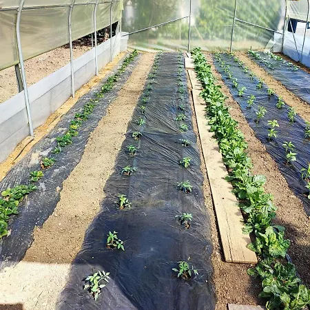 Apartman Ivan-experience 2 Bedrooms