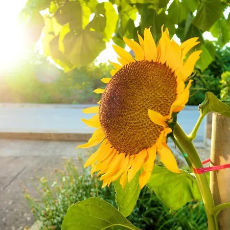 Apartman Ivan-experience 2 Bedrooms