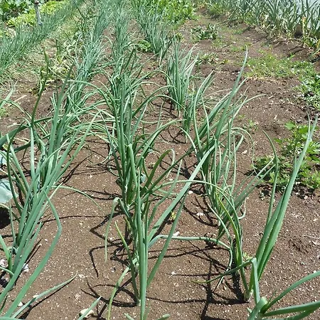 Ivan-experience 2 Bedrooms Διαμέρισμα Ljubuški