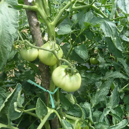 Apartman Ivan-experience 2 Bedrooms *